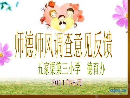 师德师风调查意见反馈.ppt