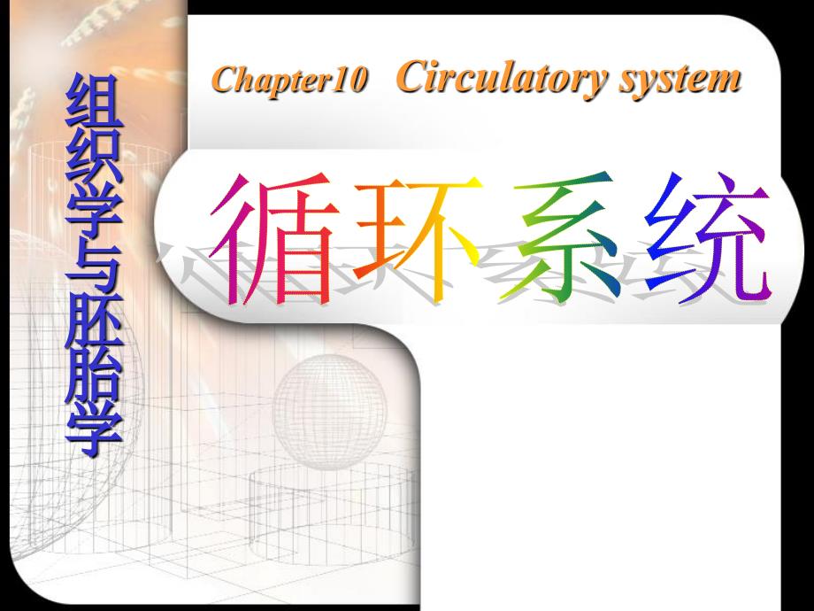 循环系统PPT课件.ppt_第1页