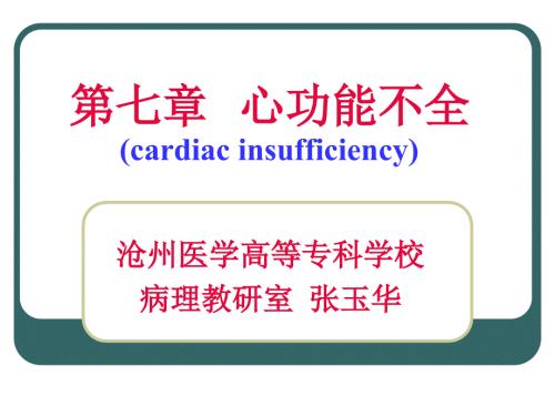 心功能不全PPT课件.ppt