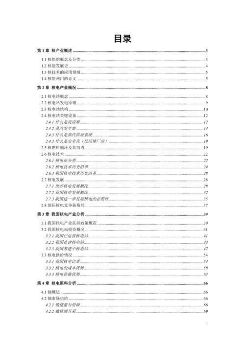核产业研究报告.doc