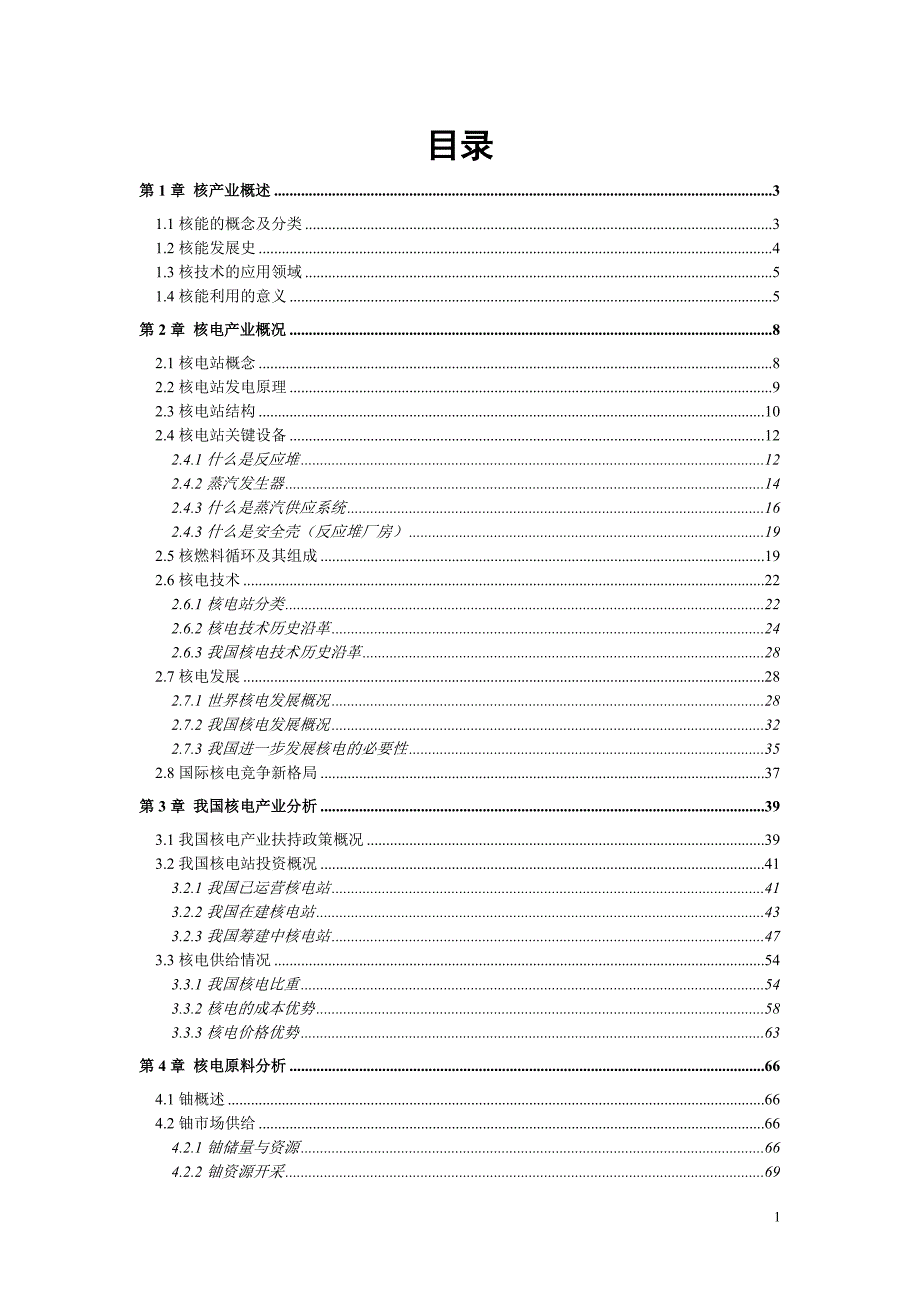 核产业研究报告.doc_第1页