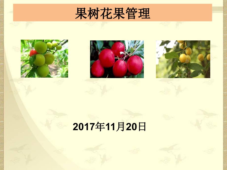 果树花果管理与病虫害防治技术.pptx_第1页