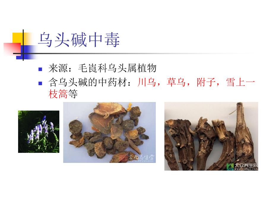 急诊科乌头碱中毒PPT课件.ppt_第3页