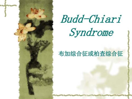 布加氏综合征课件.ppt