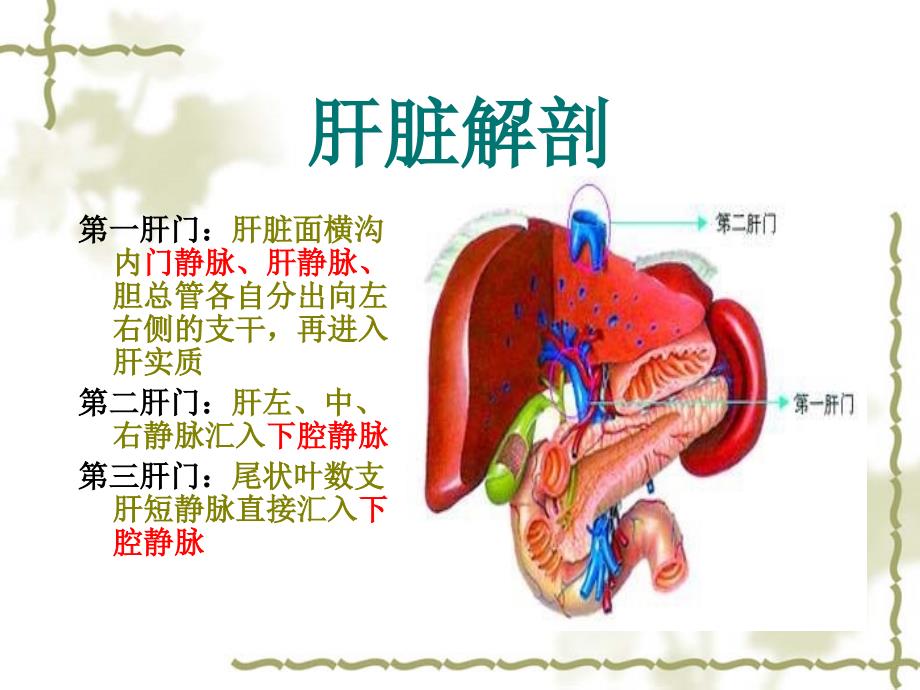布加氏综合征课件.ppt_第3页