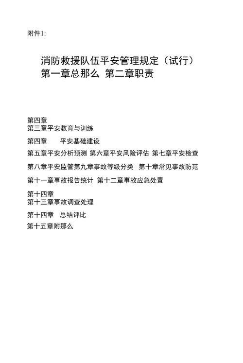 消防救援队伍安全管理规定试行.docx