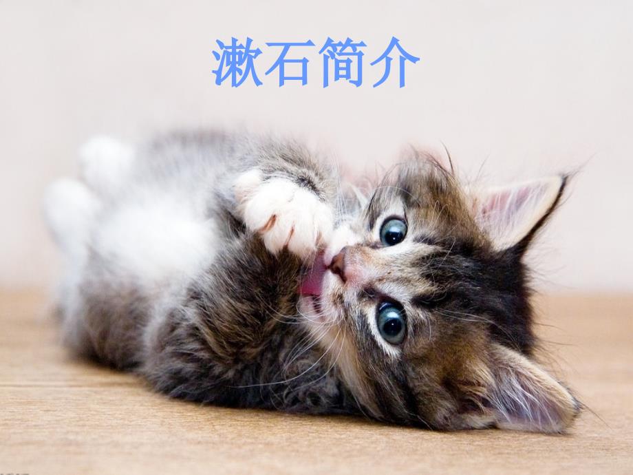 我是猫夏目漱石PPT课件.ppt_第1页