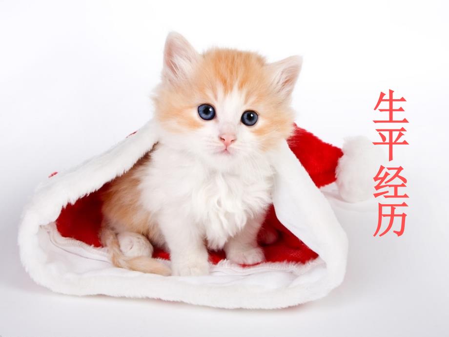 我是猫夏目漱石PPT课件.ppt_第3页