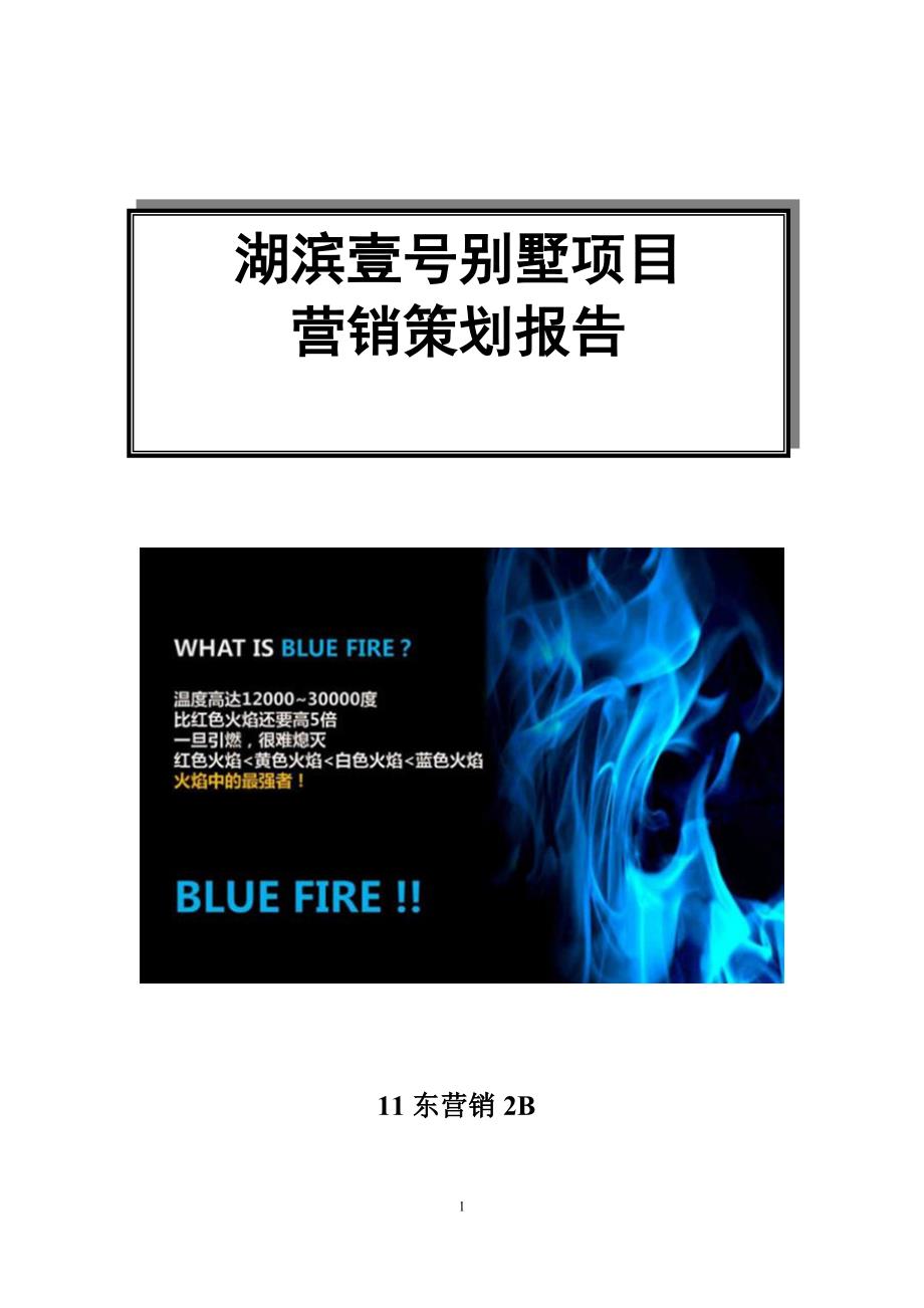 房地产别墅项目营销策划.doc_第1页