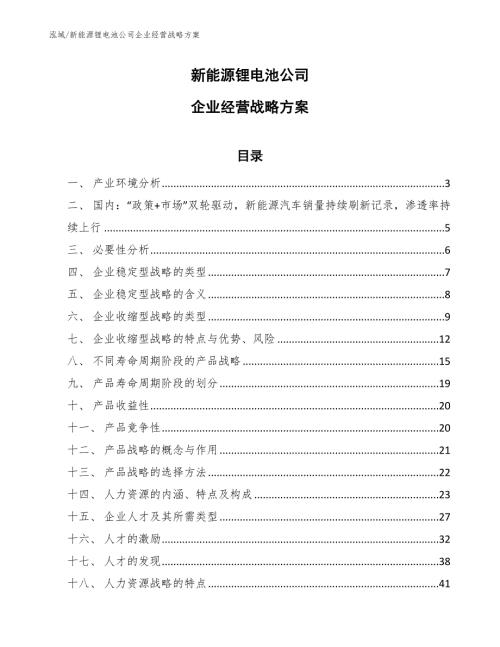 新能源锂电池公司企业经营战略方案参考.docx