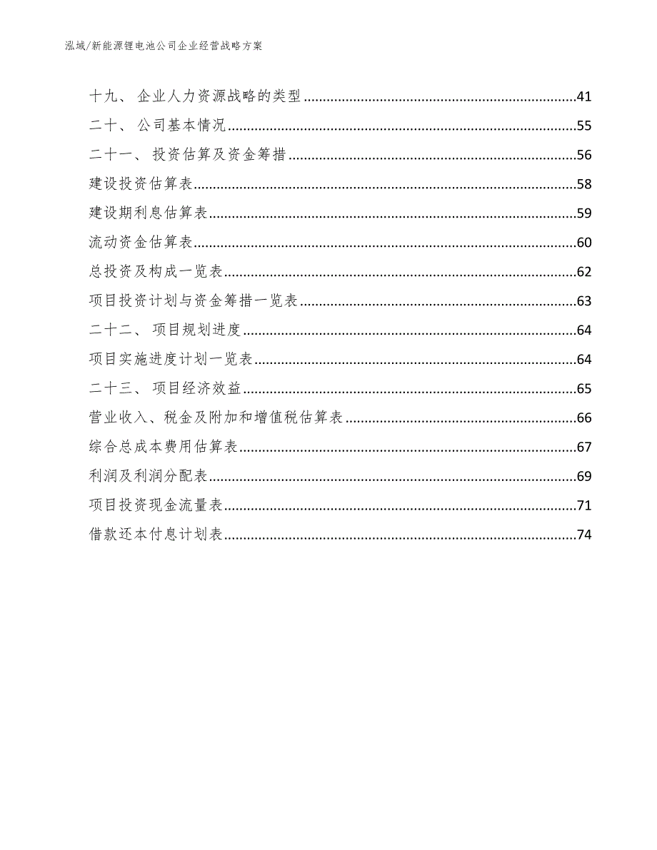 新能源锂电池公司企业经营战略方案参考.docx_第2页