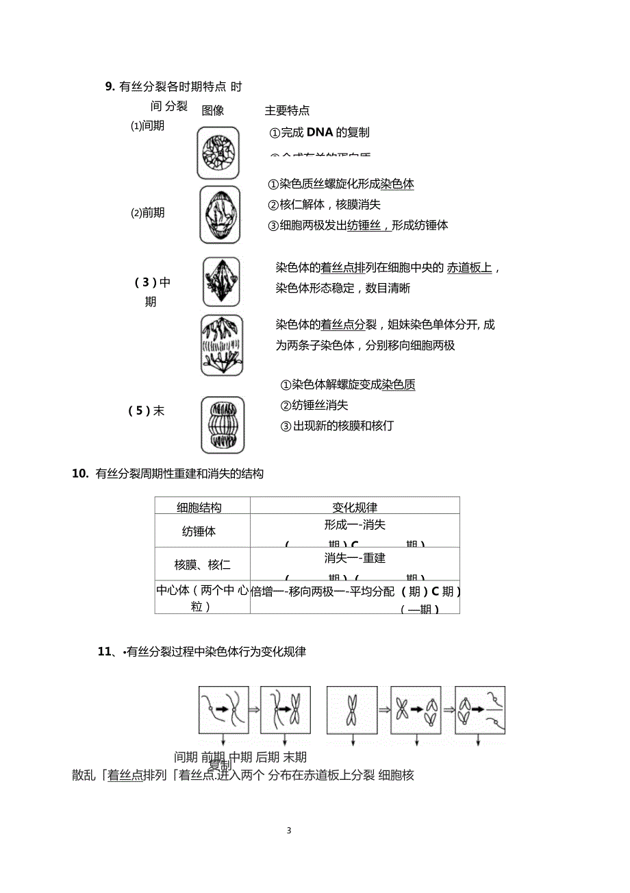 有丝分裂和减数分裂知识点总结大全.doc_第3页