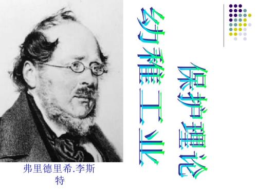 幼稚工业保护理论.ppt
