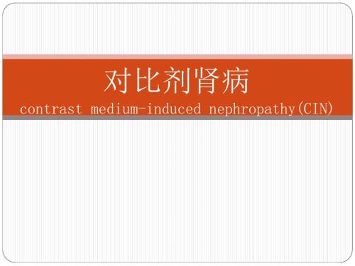 碘对比剂肾病指南及中国专家共识.ppt