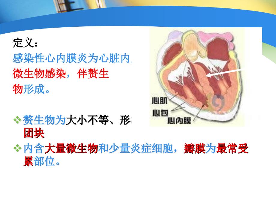 感染性心内膜炎护理课件.ppt_第3页