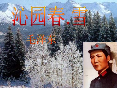 沁园雪课件.ppt