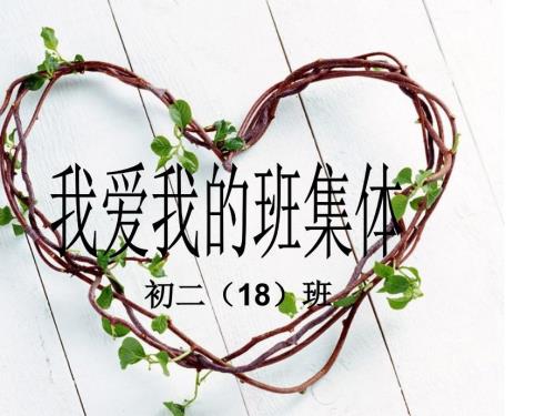 我爱我的班集体主题班会ppt课件.ppt