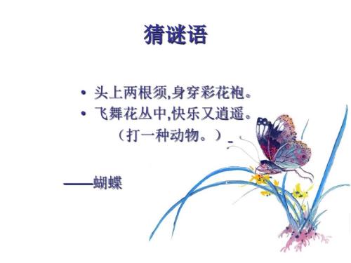 最新四年级上册美术课件第十四课蝴蝶落我家湘美版共26张PPT.pptx