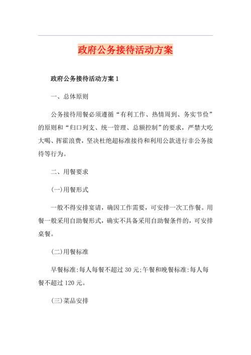 政府公务接待活动方案.doc