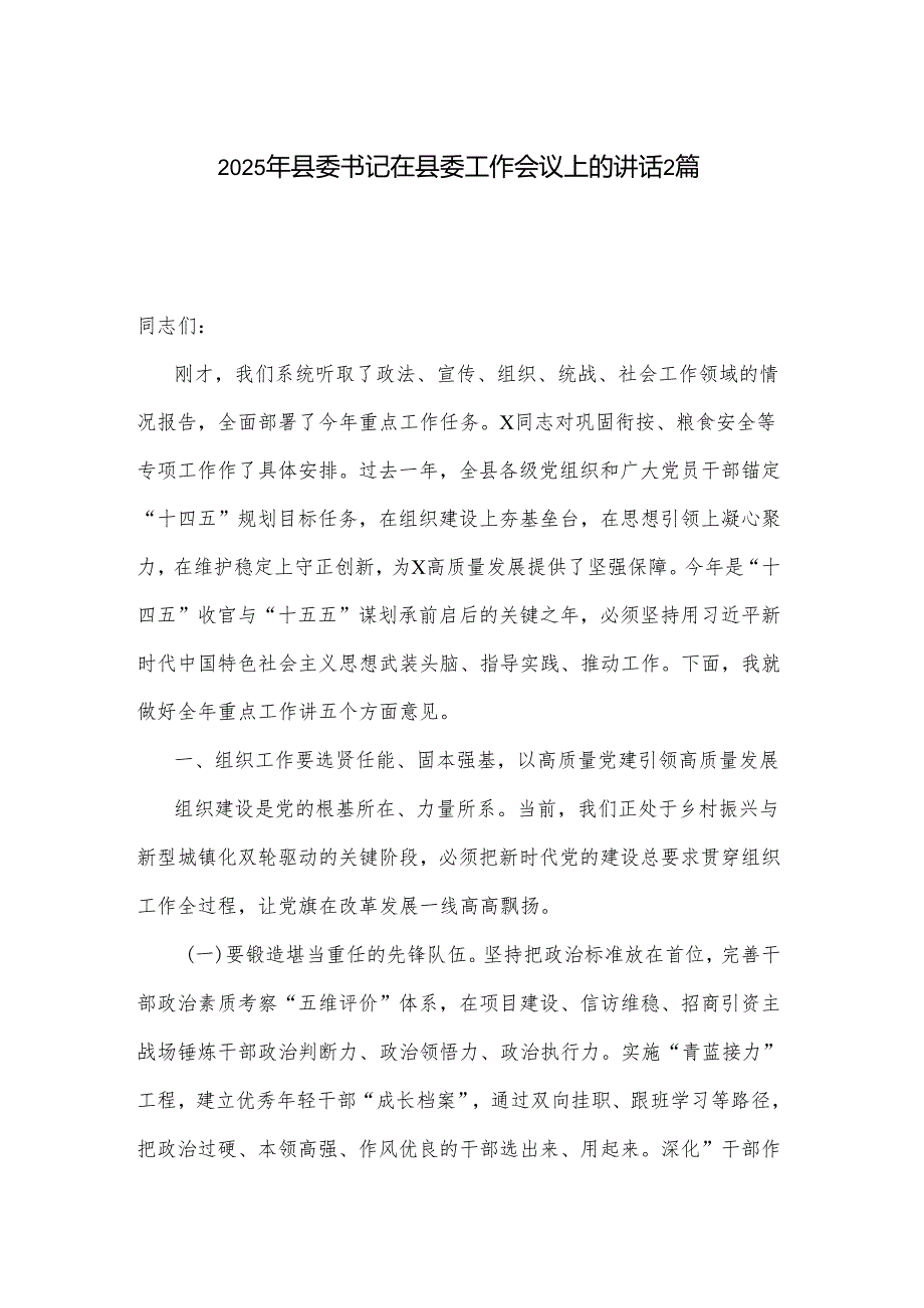 2025年县委书记在县委工作会议上的讲话2篇.docx_第1页