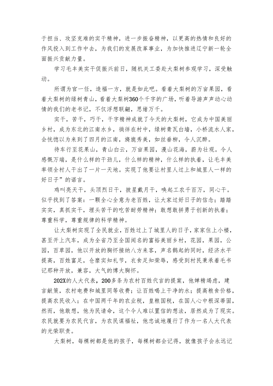 毛丰美实干促振兴体会（3篇）.docx_第2页
