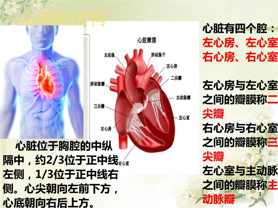 心脏起搏器的术后护理.ppt_第3页