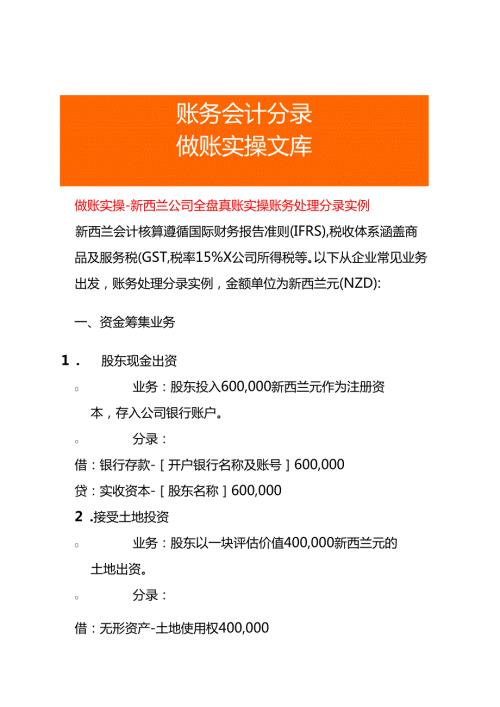 做账实操新西兰公司全盘账务处理分录实例.docx