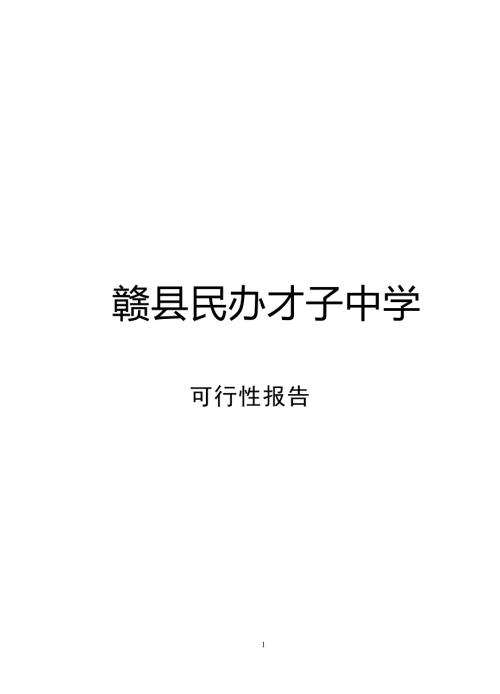 民办才子中学可行性报告.doc