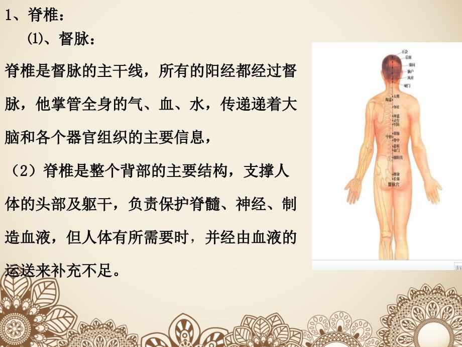 碧力斯背部活络保养讲座.ppt_第3页