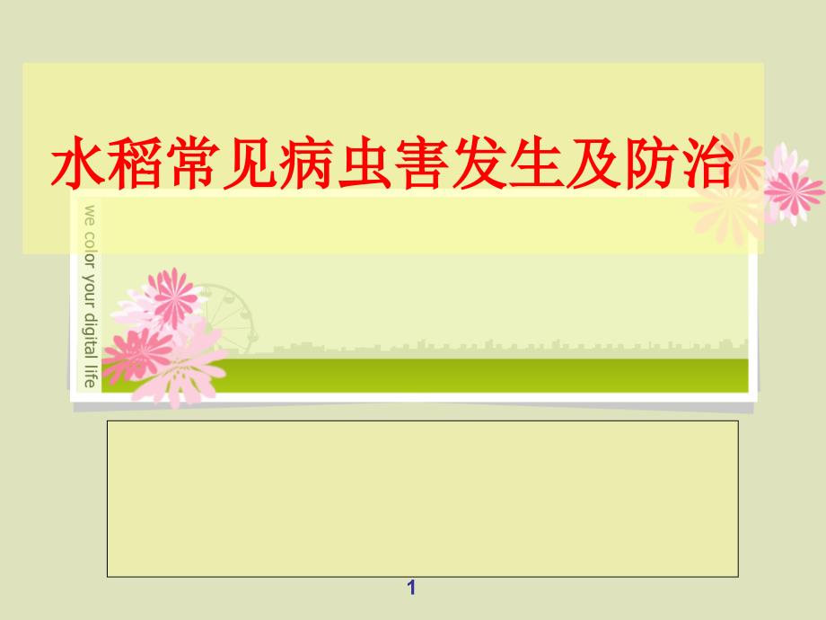 水稻病虫害防治课件.ppt_第1页