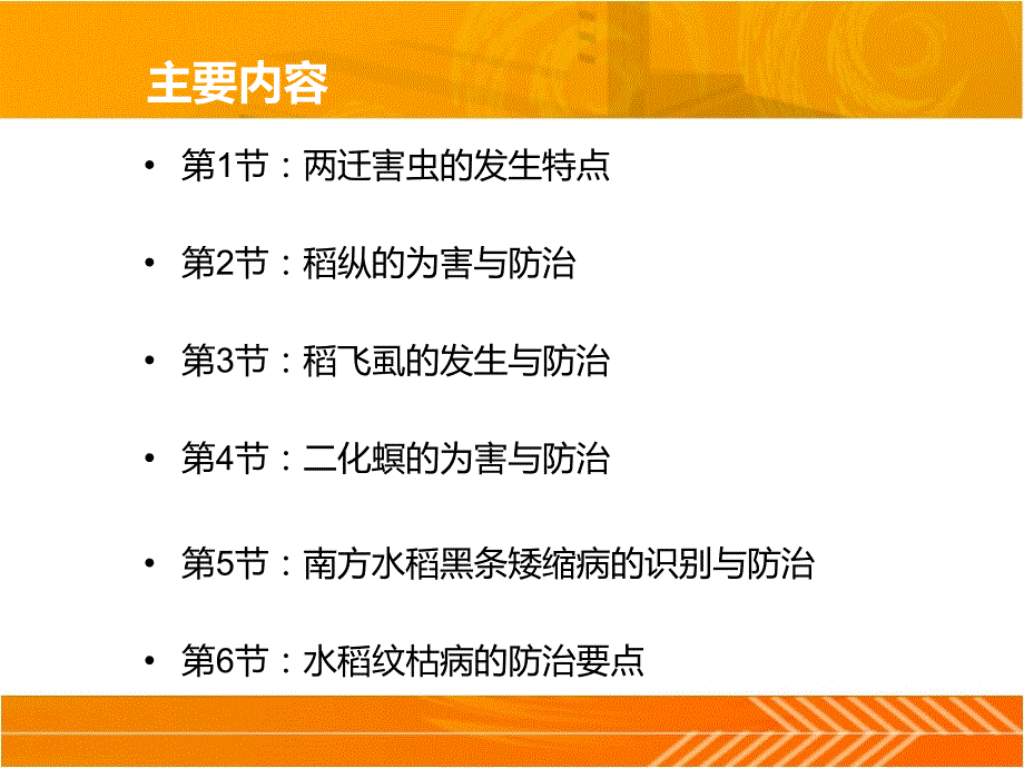 水稻病虫害防治课件.ppt_第2页