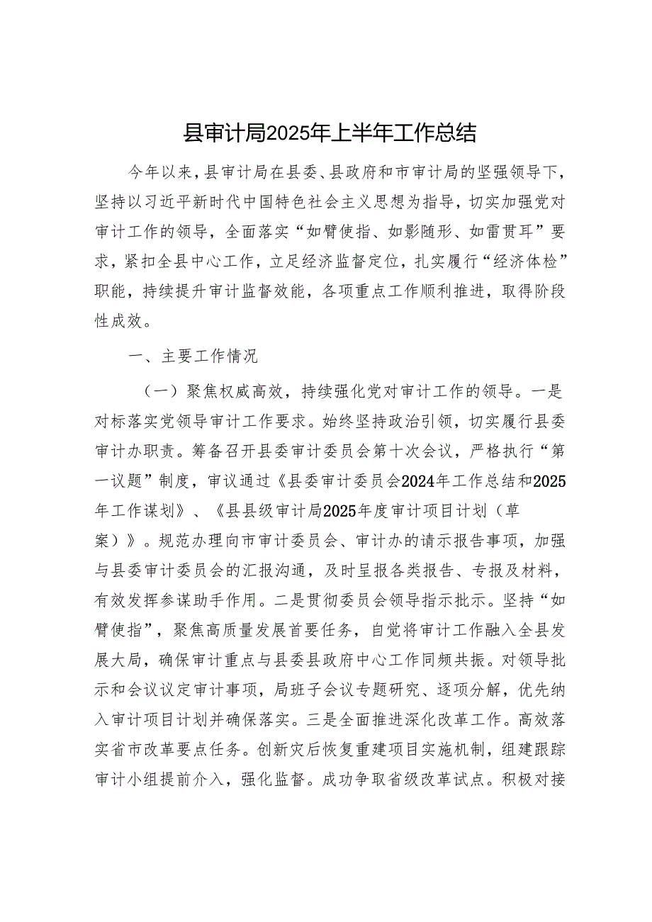 县审计局2025年上半年工作总结.docx_第1页