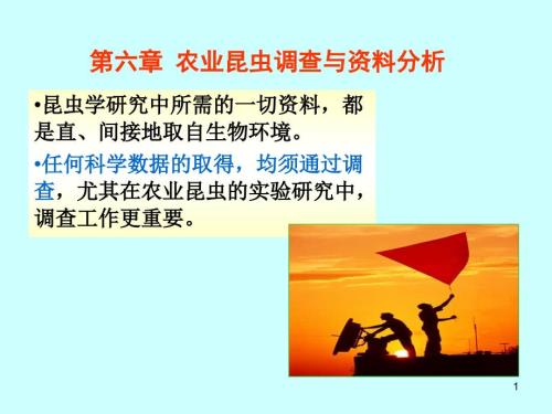 昆虫调查和统计59张PPT优秀课件.ppt