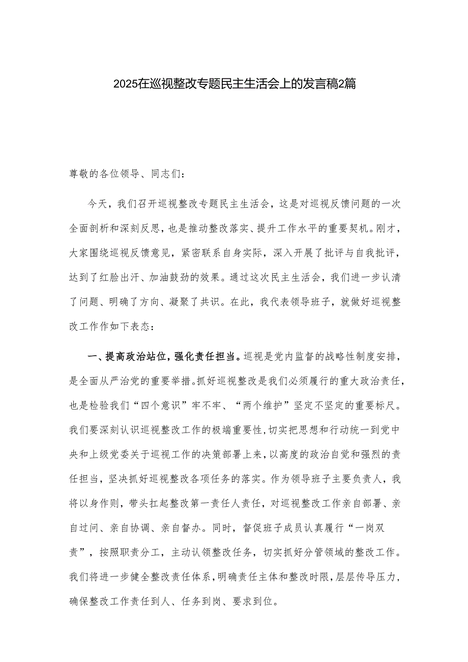 2025在巡视整改专题民主生活会上的发言稿2篇.docx_第1页