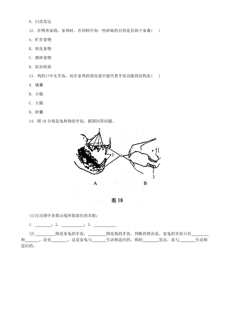 精选类八年级生物上册4.1动物的食性与合理饲喂同步练习冀教版通用.doc_第3页