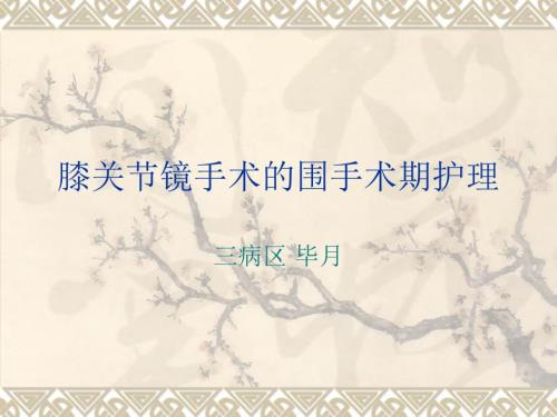 膝关节镜围手术期护理.ppt