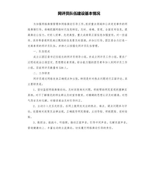 网评员队伍建设基本情况.docx