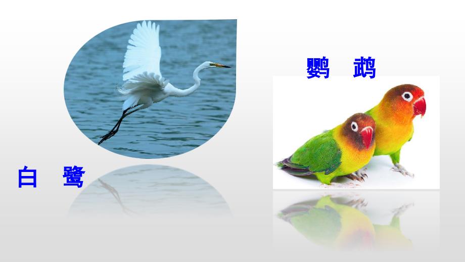 部编版二年级上册语文13寒号鸟优质课件6.ppt_第2页