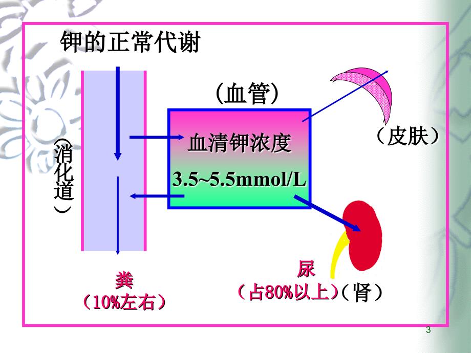 高钾与低钾的护理精品.ppt_第3页