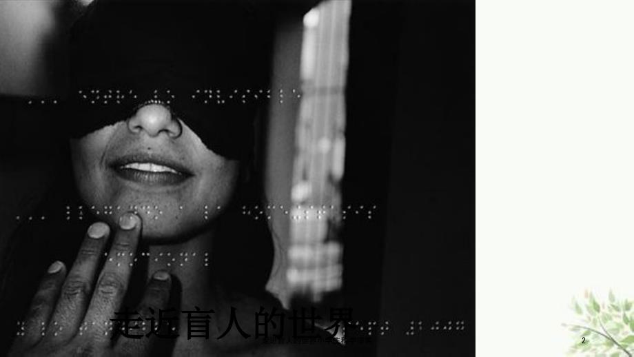 走进盲人的世界小学生科学探索课件.ppt_第2页