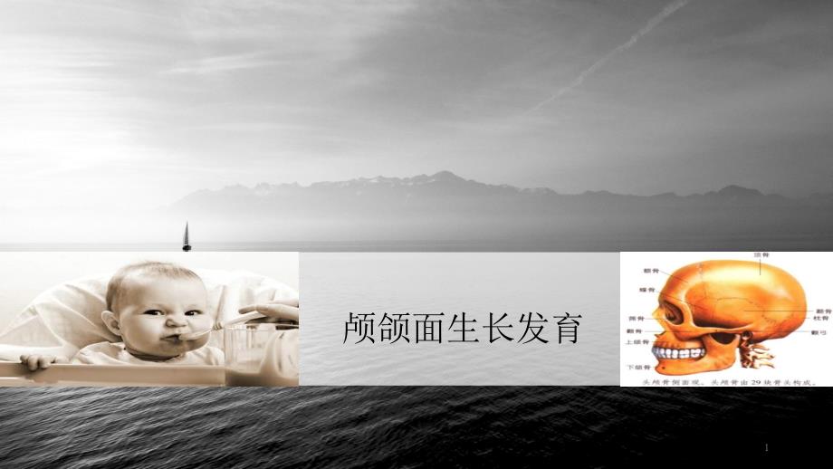 颅颌面生长发育PPT课件.pptx_第1页