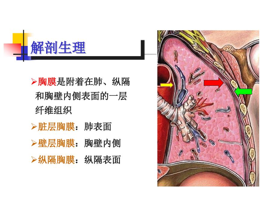 胸部损伤病人护理PPT课件.ppt_第3页