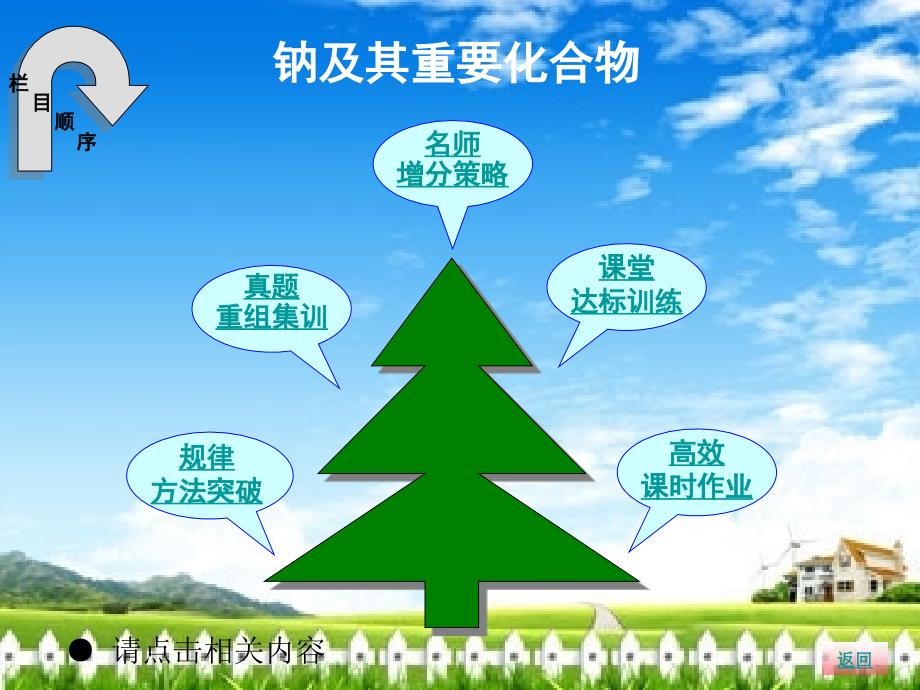 高中化学钠及其重要化合物.ppt_第2页