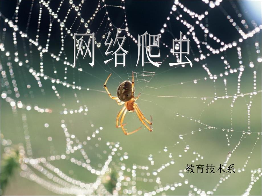 网络爬虫简介PPT课件.ppt_第1页