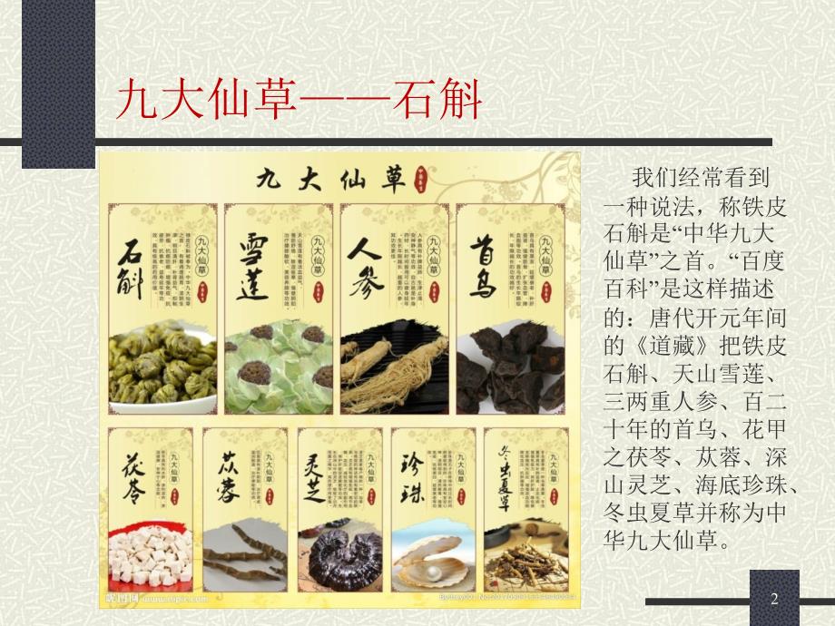 铁皮石斛的介绍PPT课件.ppt_第2页