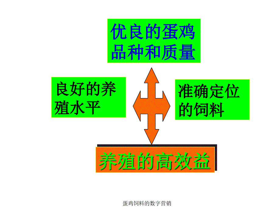 蛋鸡饲料的数字营销课件.ppt_第3页