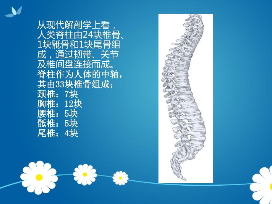 脊柱侧凸围手术期护理.ppt_第3页