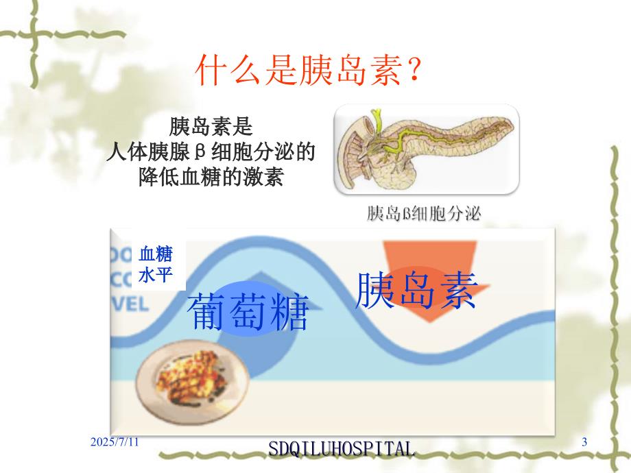 胰岛素注射PPT课件.ppt_第3页