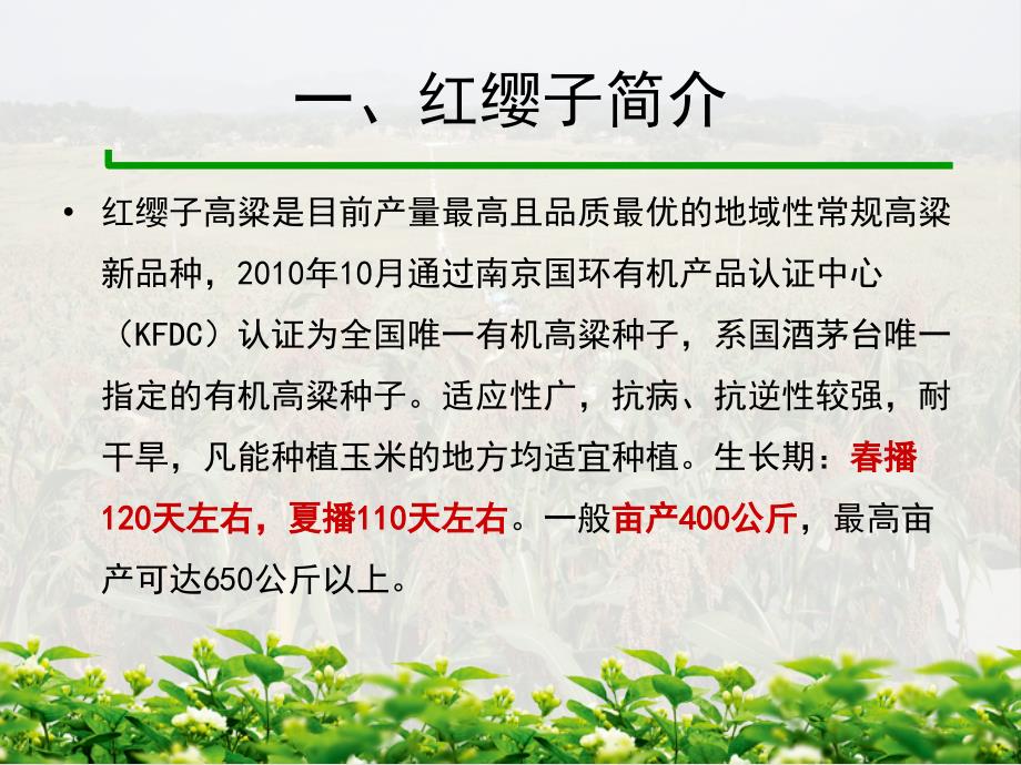 红缨子高粱栽培技术.ppt_第3页