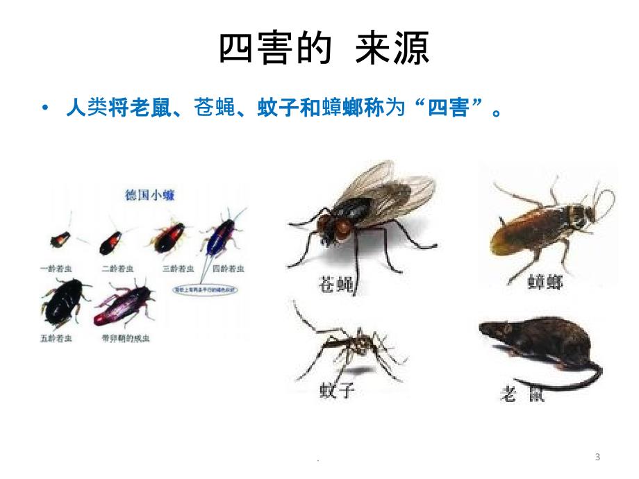 虫鼠害防治培训全ppt课件.ppt_第3页